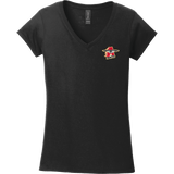 NY Aviators Softstyle Ladies Fit V-Neck T-Shirt