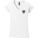 Biggby Barbarians Softstyle Ladies Fit V-Neck T-Shirt