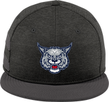 CT Bobcats New Era Shadow Heather Striped Flat Bill Snapback Cap